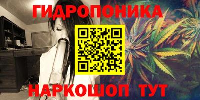 мдпв Нальчик