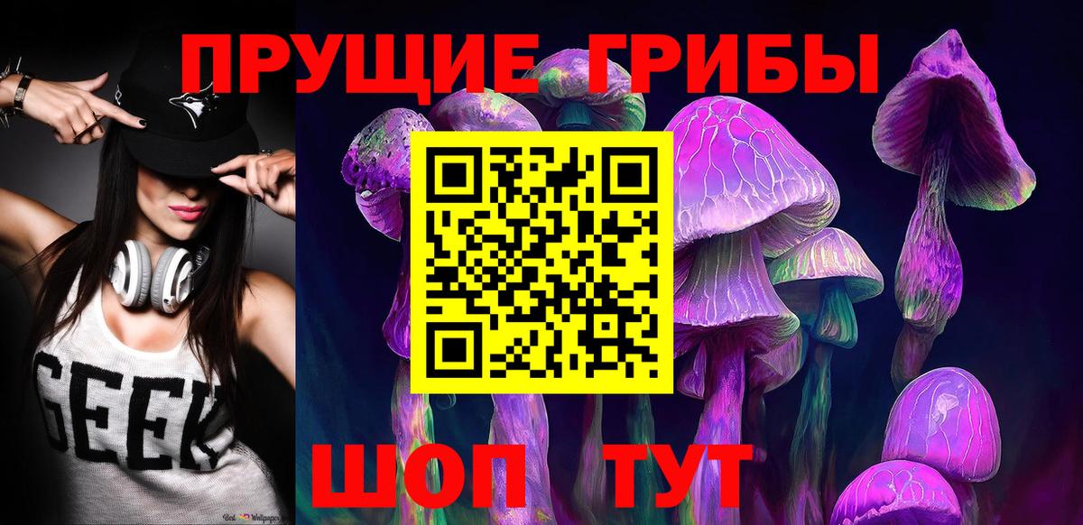 Галлюциногенные грибы GOLDEN TEACHER  Вход с VPN  Псилоцибиновые грибы мицелий  Россошь 