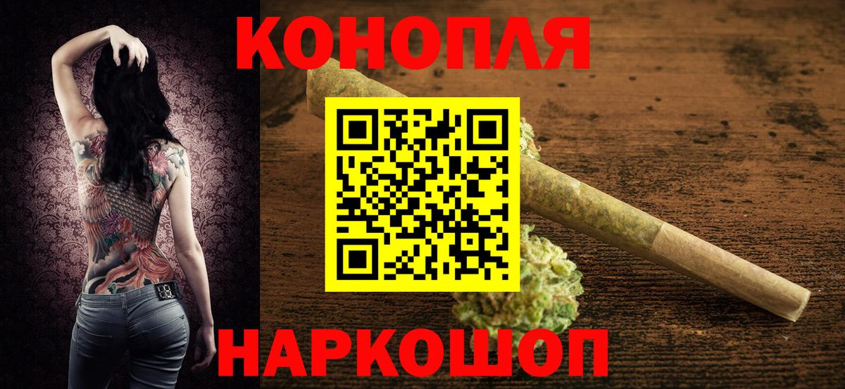 Конопля сатива Россошь